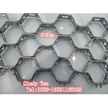 Ss304 Ss410 Hex Tortoise Shell Net Thickness 2.2mm/ Ss 304 Hex Net Professional Factory